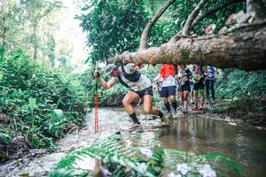 BIB: 
                            <button type="button" onclick="openModal(25452612)" class="btn btn-primary btn-sm float-right btn-popup" data-toggle="modal" data-target=".modal-high-quality">
                        <i class="fas fa-shopping-cart"></i> Add to Cart
                    </button>
                                            <button type="button" onclick="isThisMe(25452612, true)" class="btn btn-success btn-sm float-right btn-popup btn-isme hidden" data-toggle="tooltip" data-placement="bottom" title="นี่คือรูปของคุณใช่ไหม คลิกที่นี่เพื่อเอาเข้าอัลบั้ม">
                        <i class="fas fa-plus"></i> Add to album
                    </button>
                    <button type="button" onclick="isThisMe(25452612, false)" class="btn btn-warning btn-sm float-right btn-popup btn-isnotme hidden">
                        <i class="fas fa-ban"></i> Remove from album
                    </button>